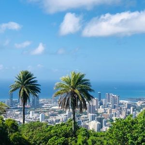 Meet your Posher, Alivia